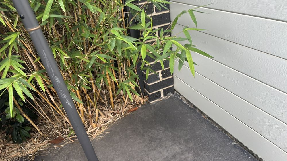 Concealed termite entry points where activity could go unseen, found during a building and pest inspection in Braybrook