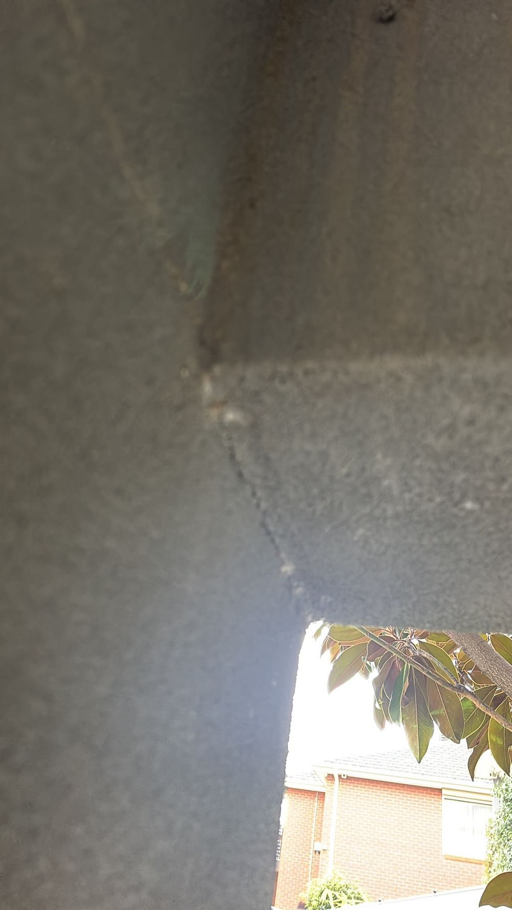 Major movement in an external wall, needing a structural engineer before purchase, found during a pre-purchase inspection in Braybrook