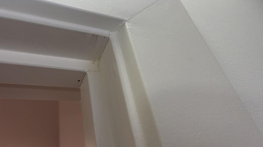 Rental standards for Deanside townhouses