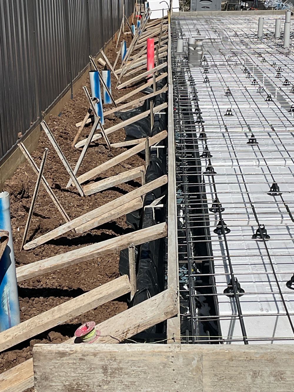 Growth and development, Deanside